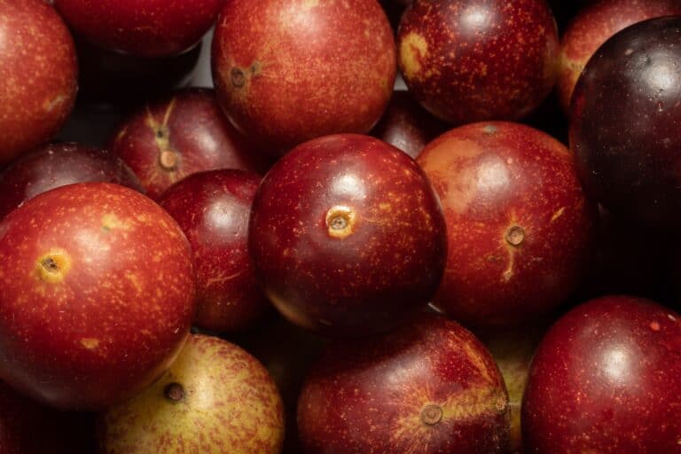 camu camu fruits, delicious and nutritious